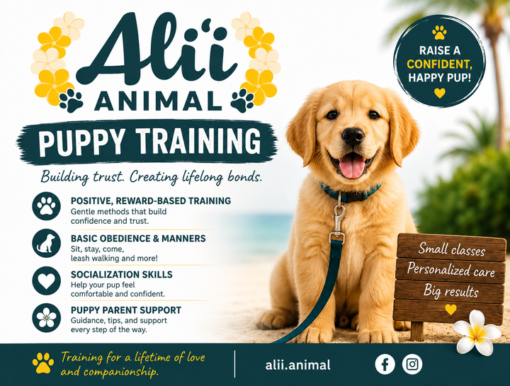 Building Confident Puppies Through Positive Reinforcement Training