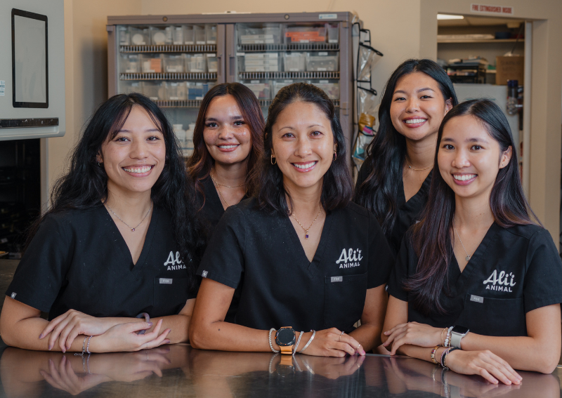 Veterinary Jobs in Honolulu