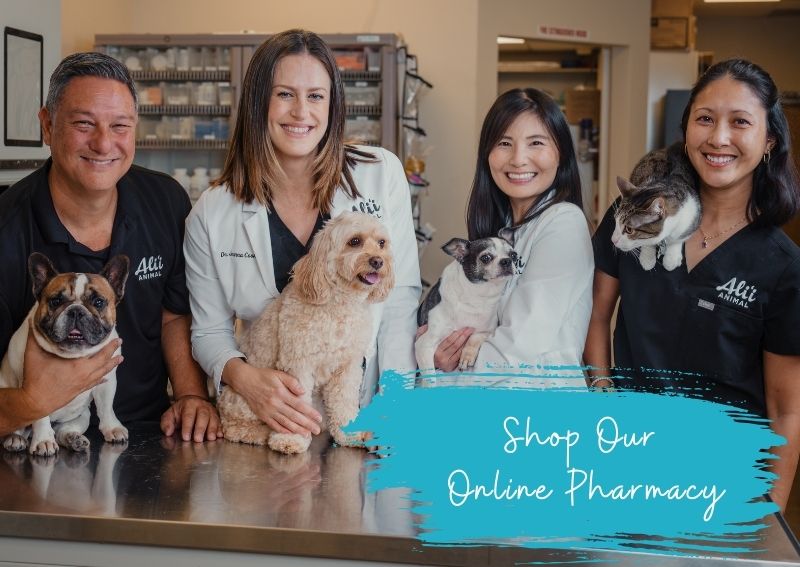 Carousel Slide 1: Online Pharmacy