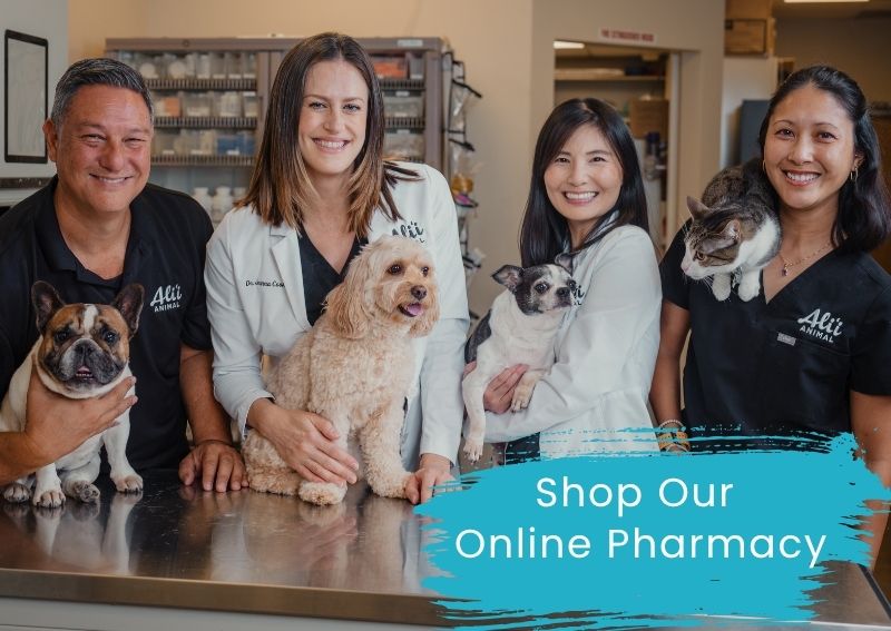 Carousel Slide 4: Online Pharmacy
