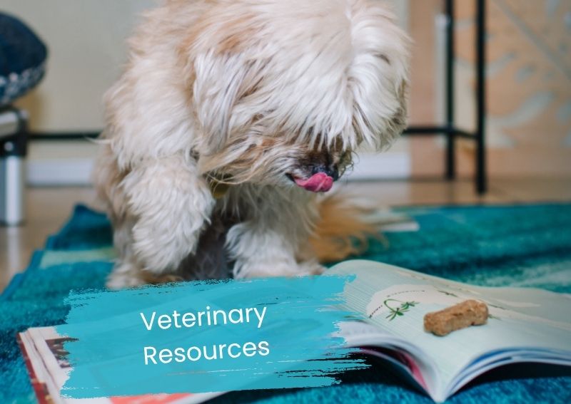 Carousel Slide 3: Resources available online