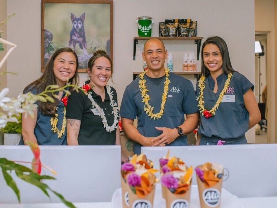 Alii Animal Kaneohe Clinic Grand Opening with Alii's seasoned team